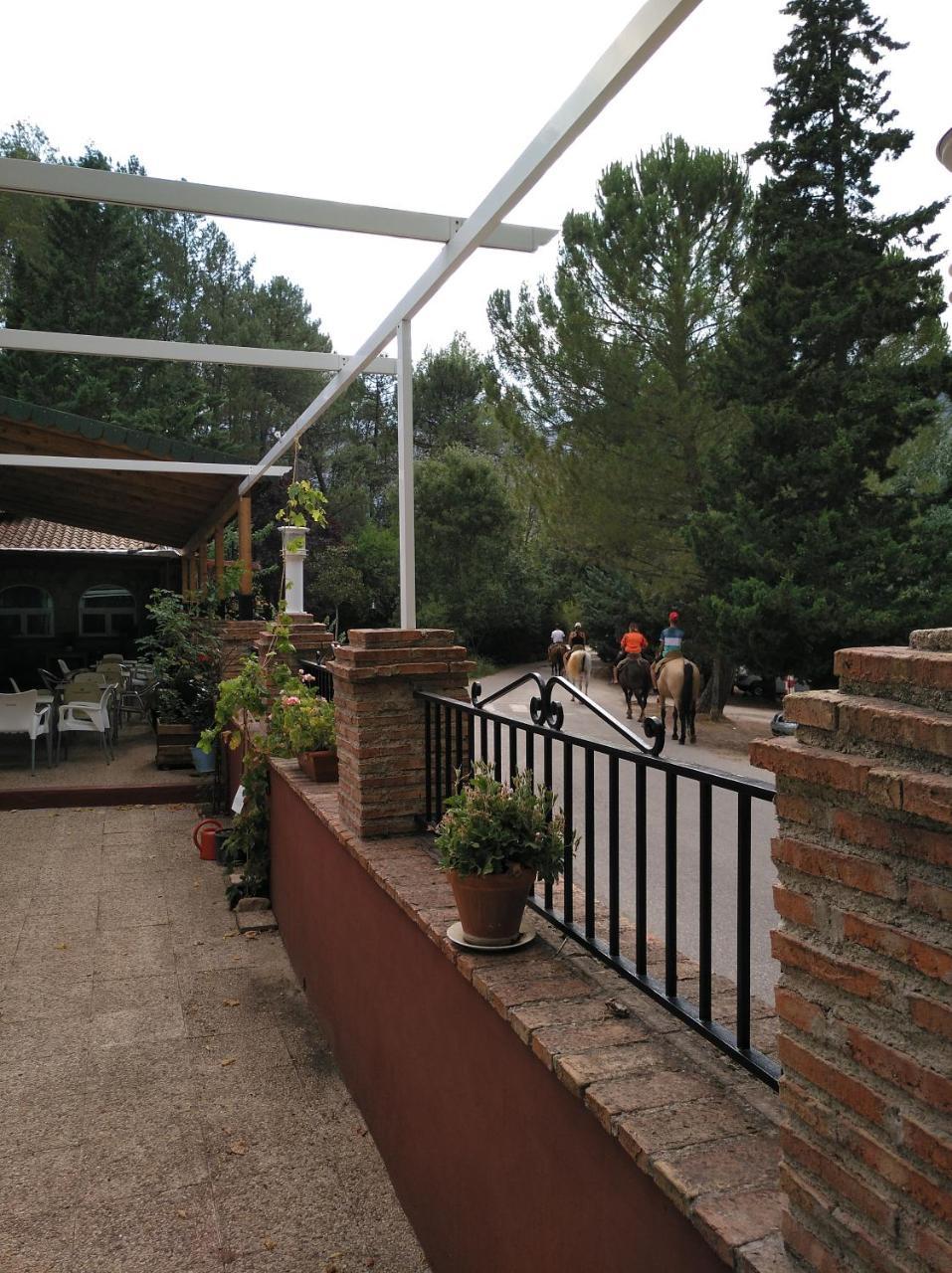 Pensión Rural Arroyo La Teja *